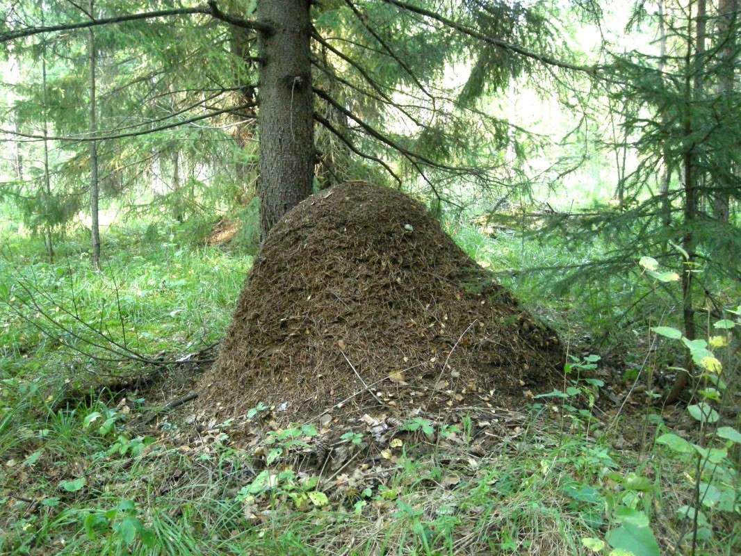 ���������� ����� ������ ������� �� PhotoGeek.ru #������ ��� �������