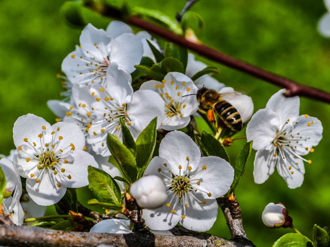 ������ ����� ������� Black �� PhotoGeek.ru #����� #�������� ��� #������ ��� ������� #����� ��������