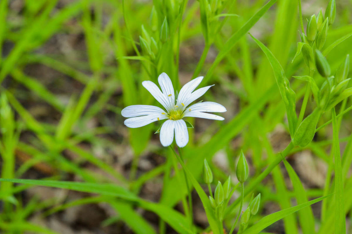 ����� ����� ������� Black �� PhotoGeek.ru #����� #����� ��������������