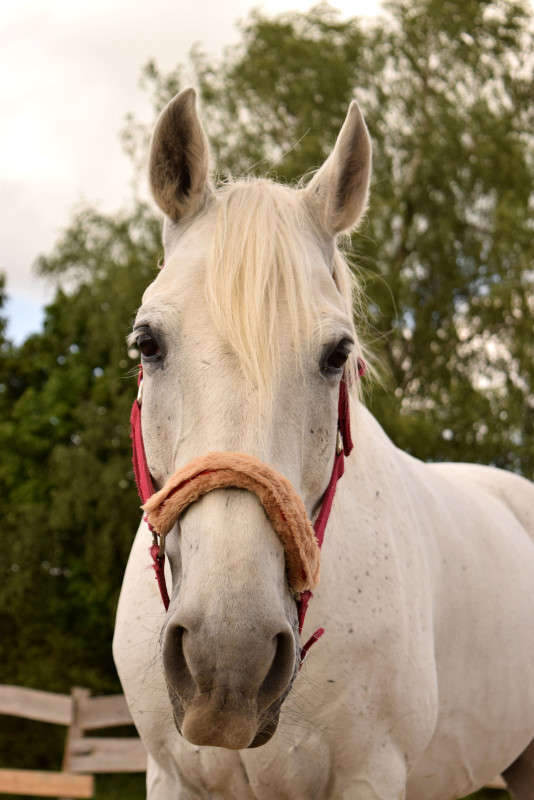 �������� �������� ����� Bieta007  �� PhotoGeek.ru #�������� ��� #�������