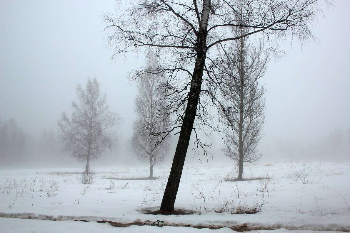 �����*2 ����� ����� ������� �� PhotoGeek.ru #������ ��� ������� #����� �������������� #���������