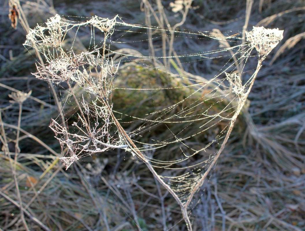 ����� ������ � �����*2 ����� ����� ������� �� PhotoGeek.ru #������ ��� ������� #���������