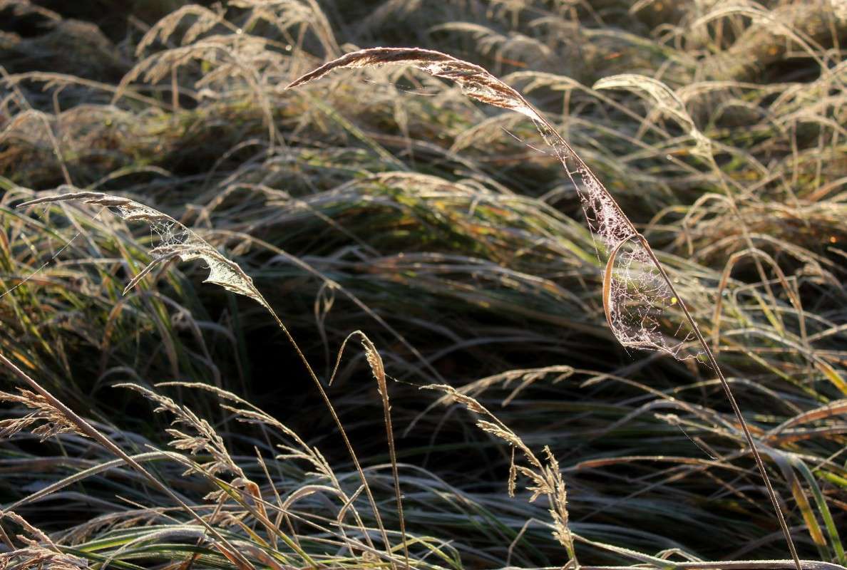 ����� ������ � �����*3 ����� ����� ������� �� PhotoGeek.ru #������ ��� ������� #��������� #������