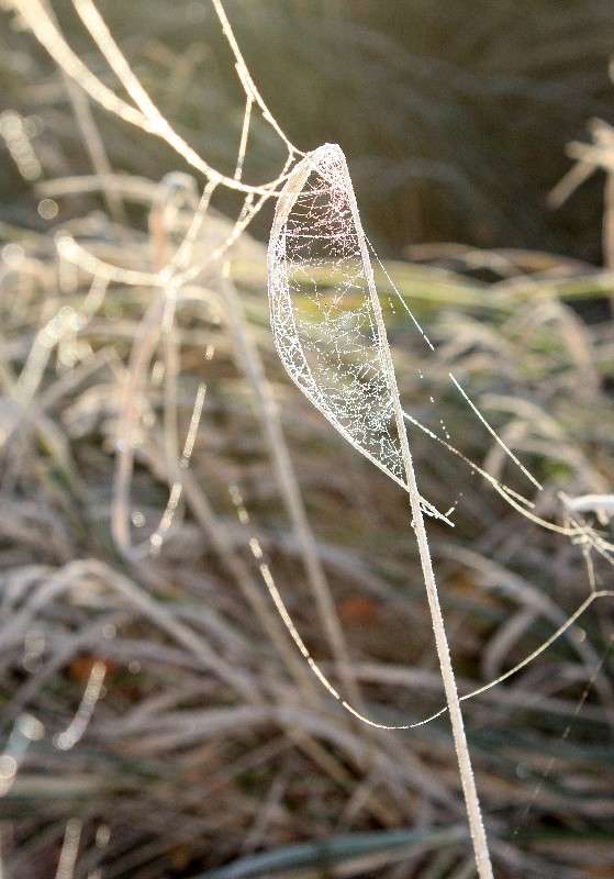 ����� ������ � �����*4 ����� ����� ������� �� PhotoGeek.ru #������ ��� ������� #��������� #������