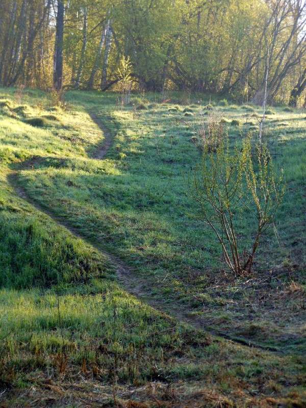 ���������� ����� ����� ������� �� PhotoGeek.ru #������ ��� ������� #���������