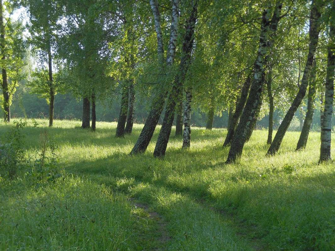 ���� ����� ����� ������� �� PhotoGeek.ru #������ ��� ������� #����� ��������������