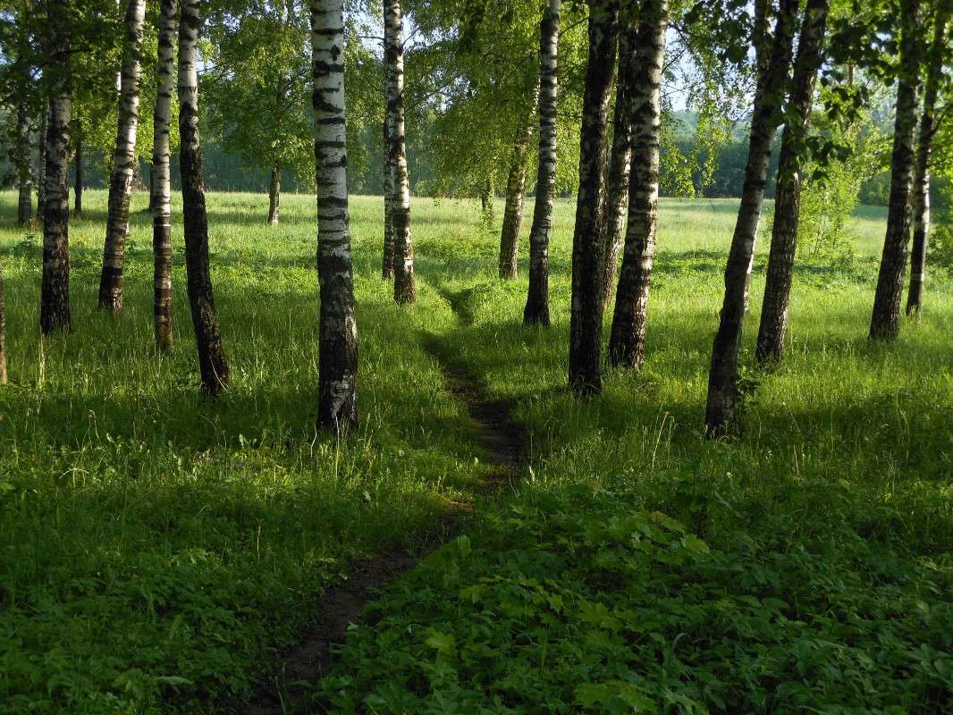 ���� 2 ����� ����� ������� �� PhotoGeek.ru #������ ��� ������� #����� ��������������