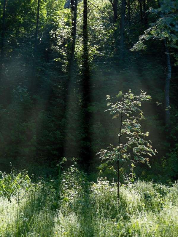 ���� 3 ����� ����� ������� �� PhotoGeek.ru #������ ��� ������� #����� ��������������