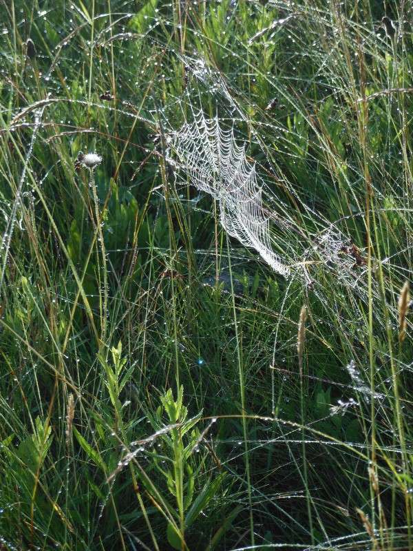 ������ ������� ����� ����� ������� �� PhotoGeek.ru #������ ��� ������� #����� �������������� #��������� #����� ��������