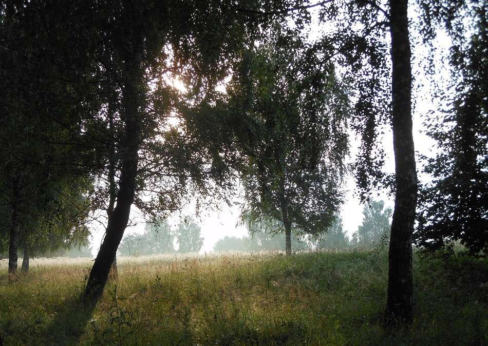 ����*9 ����� ����� ������� �� PhotoGeek.ru #������ ��� ������� #����� ��������������