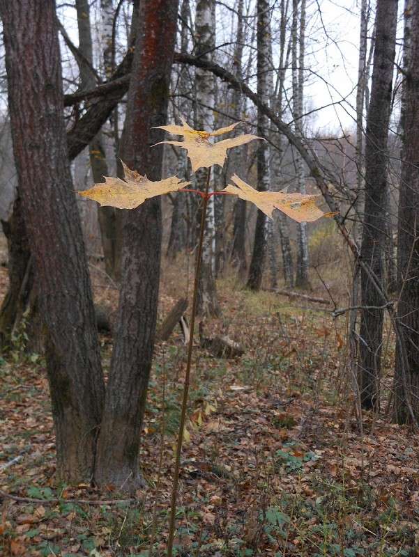 ��������� �������� ����� ����� ����� ������� �� PhotoGeek.ru #������ ��� ������� #��� #�����