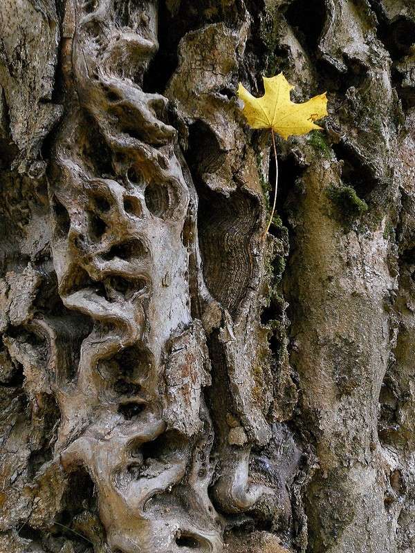 ������� ���� ����� ����� ������� �� PhotoGeek.ru #������ ��� ������� #���� #����� #������ #�����