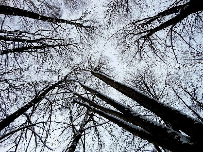 ���� ����� ����� ������� �� PhotoGeek.ru #������ ��� ������� #��� #����