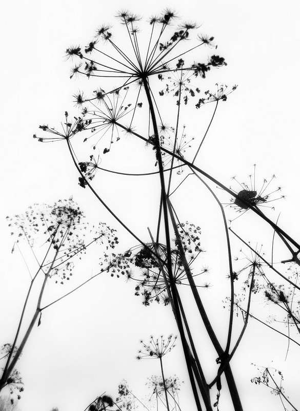 ������� ������� ����� ����� ������� �� PhotoGeek.ru #������ ��� ������� #������� #�����