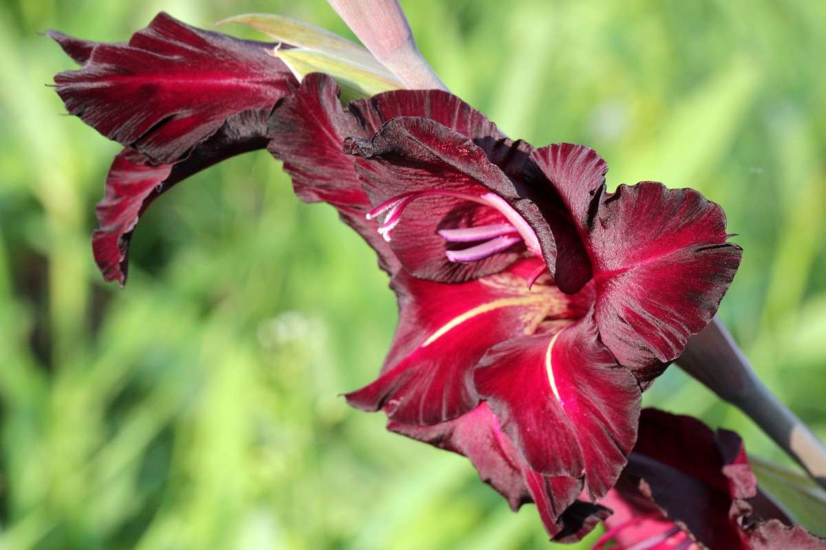 ����� �����.. ����� ����� ������� �� PhotoGeek.ru #������ ��� ������� #��������� #����� �������������� #����