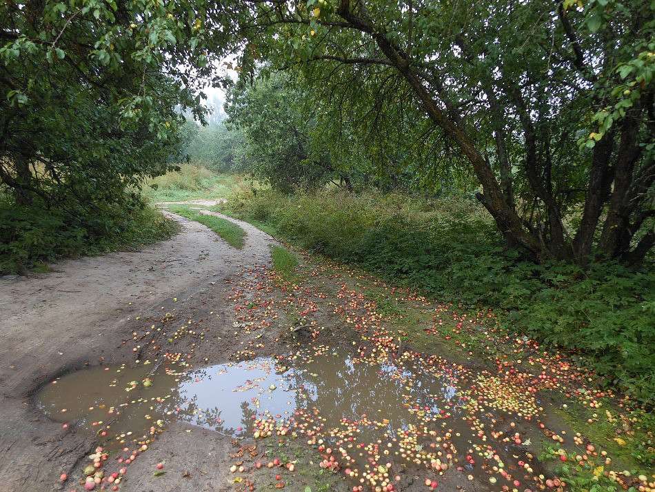 ������ ����� ��������� ��� ����� ����� ������� �� PhotoGeek.ru #������ ��� ������� #���������