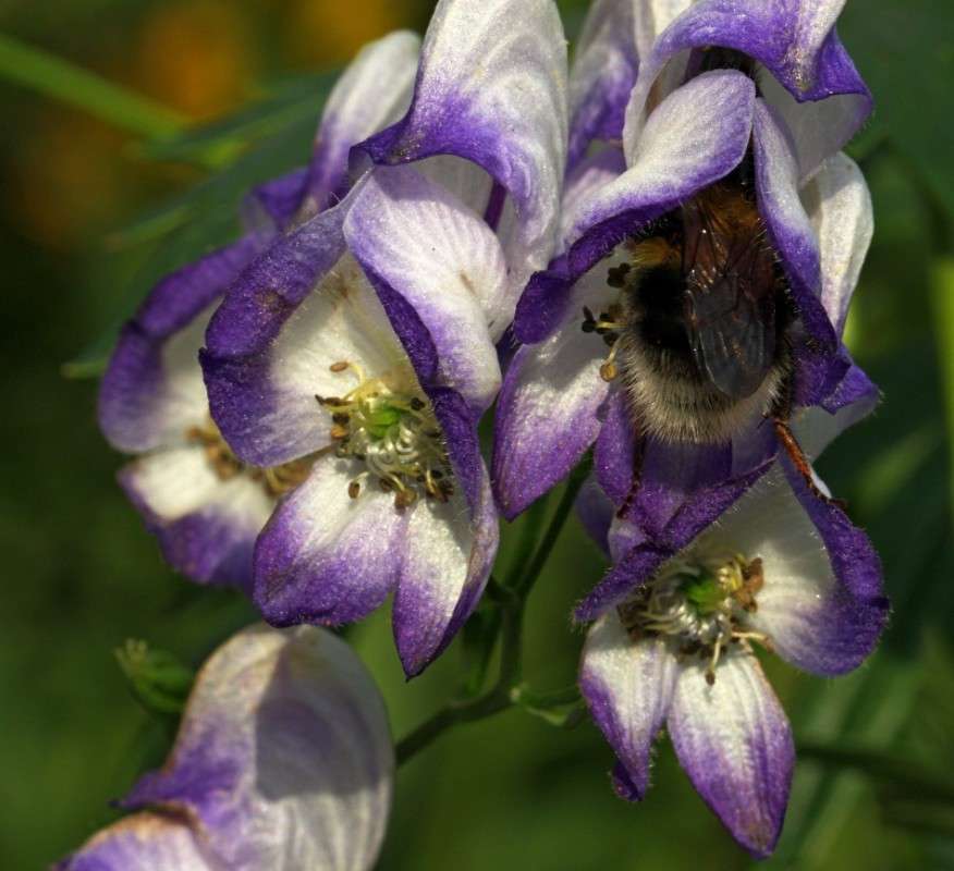 ������� ������*2 ����� ����� ������� �� PhotoGeek.ru #����� #����� �������������� #���������