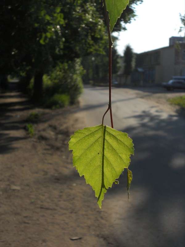 ���� ����� ����� ������� �� PhotoGeek.ru #����� #���� #������