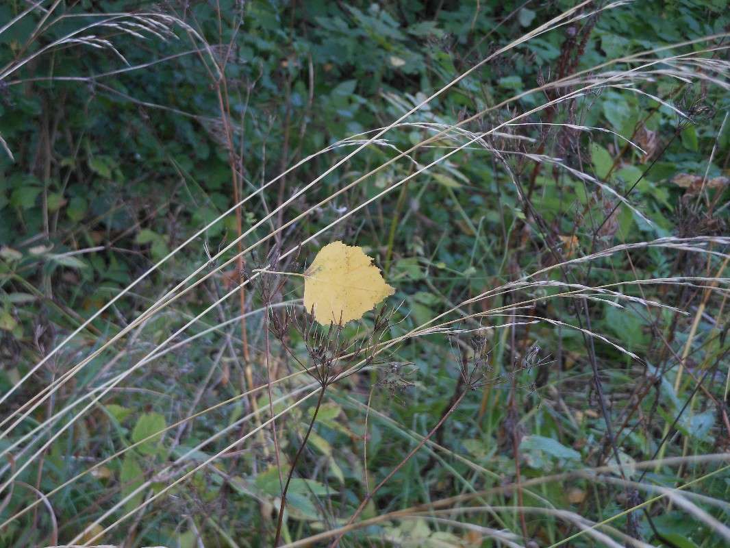 � ����� �����... ����� ����� ������� �� PhotoGeek.ru #������ ��� ������� #����� �������������� #��������� #������