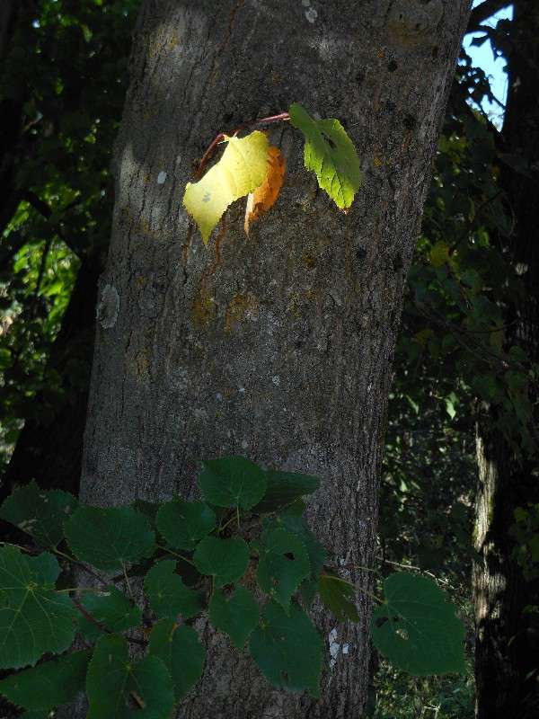 � ����� �����...*2 ����� ����� ������� �� PhotoGeek.ru #������ ��� ������� #����� �������������� #���������