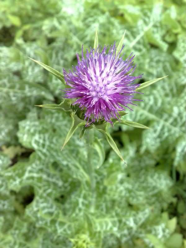 ���������� ����� ����� ������� �� PhotoGeek.ru #������ ��� �������