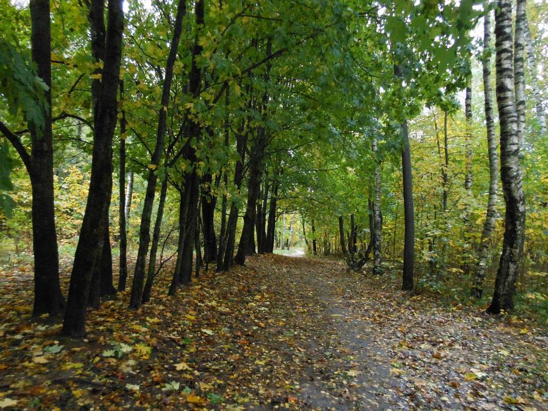 � ����� �����...5 ����� ����� ������� �� PhotoGeek.ru #������ ��� ������� #����� �������������� #���������