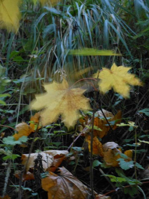 � ����� �����...6 ����� ����� ������� �� PhotoGeek.ru #������ ��� ������� #����� �������������� #���������