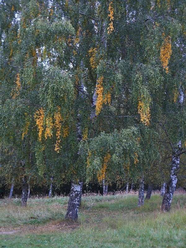 � ����� �����...7 ����� ����� ������� �� PhotoGeek.ru #������ ��� ������� #����� �������������� #���������