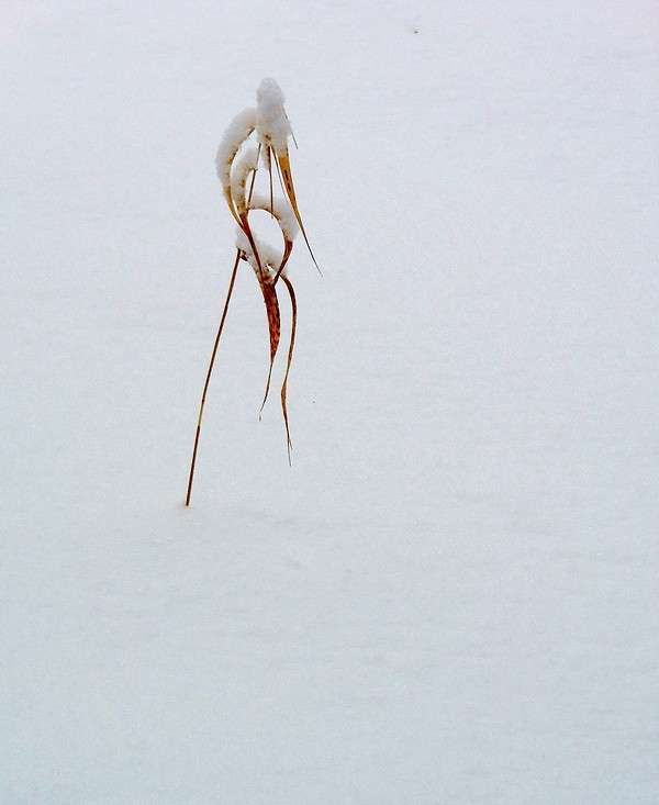 ������� ����� ����� ������� �� PhotoGeek.ru #������ ��� �������