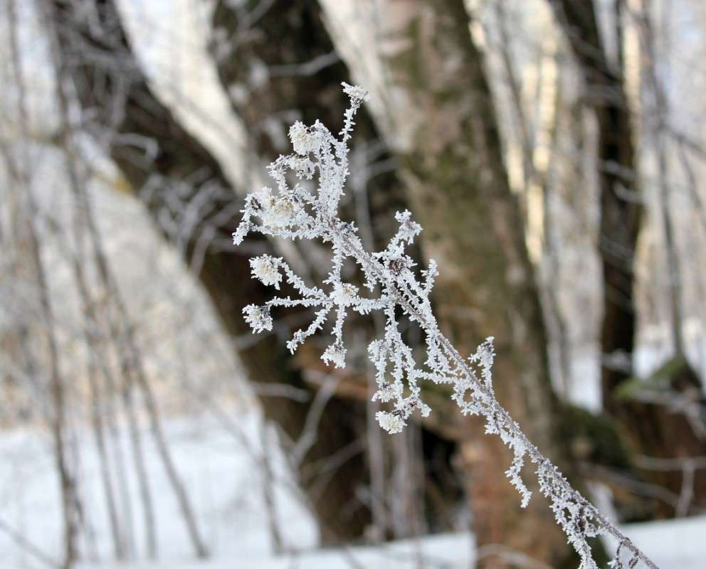 ���� 3 ����� ����� ������� �� PhotoGeek.ru #������ ��� �������