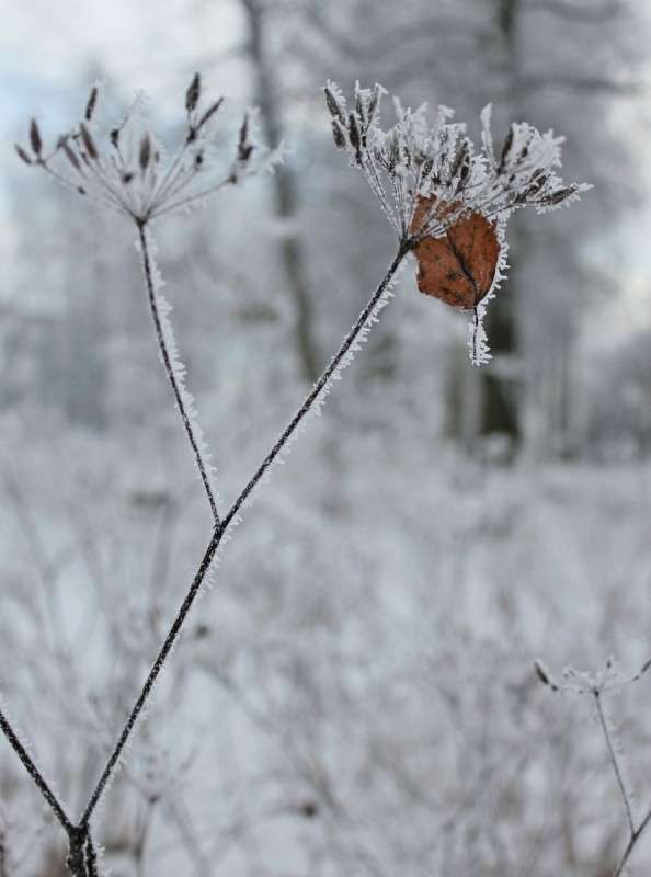 ���� 5 ����� ����� ������� �� PhotoGeek.ru #������ ��� �������