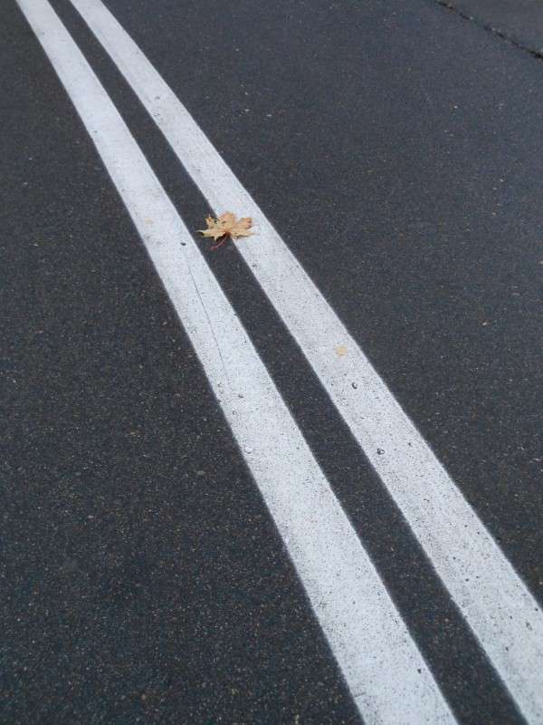 � ����� �����...10 ����� ����� ������� �� PhotoGeek.ru #����� 13