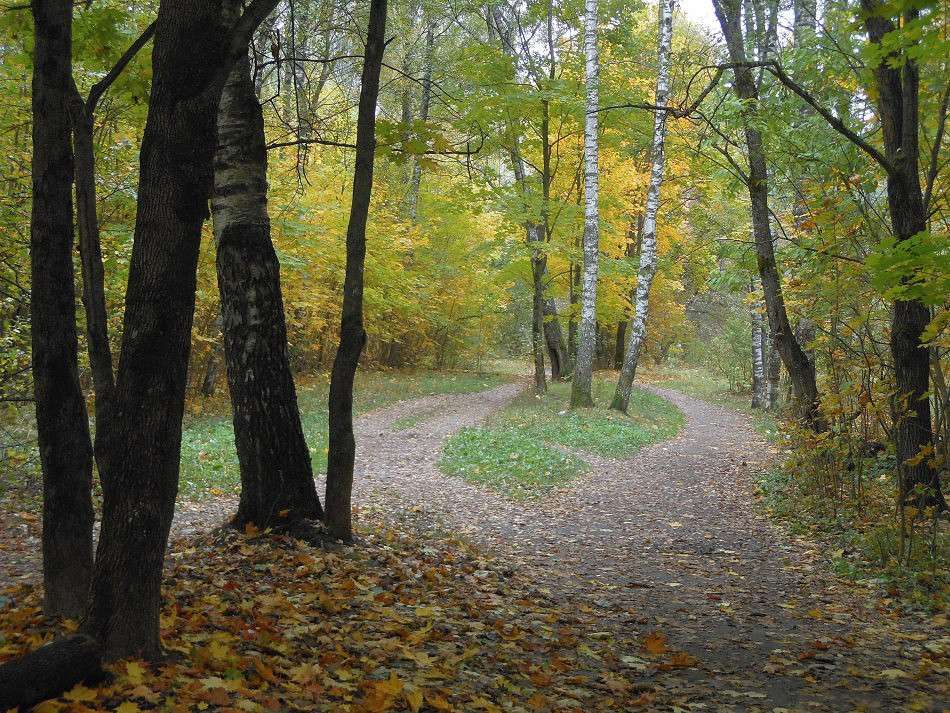 � ����� �����...12 ����� ����� ������� �� PhotoGeek.ru #������ ��� ������� #����� �������������� #���������