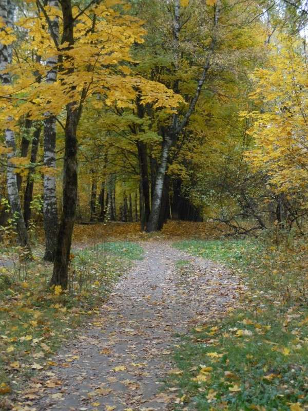 ������ �����... ����� ����� ������� �� PhotoGeek.ru #������ ��� ������� #����� �������������� #���������