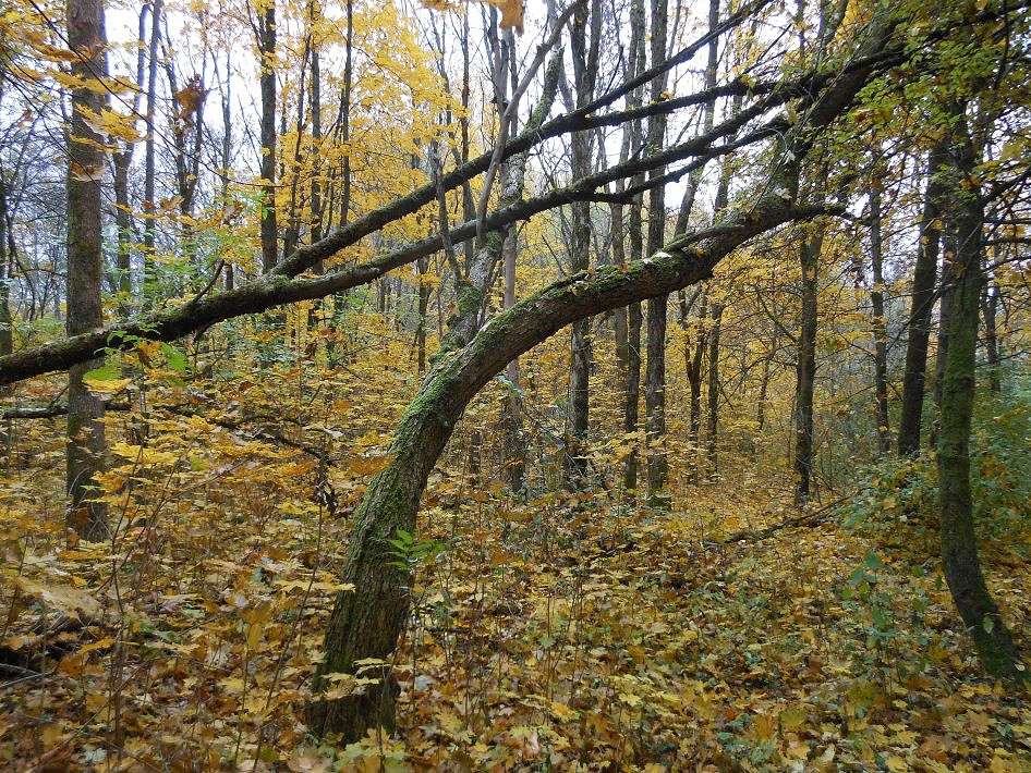 ������ �����...3 ����� ����� ������� �� PhotoGeek.ru #������ ��� ������� #����� �������������� #���������