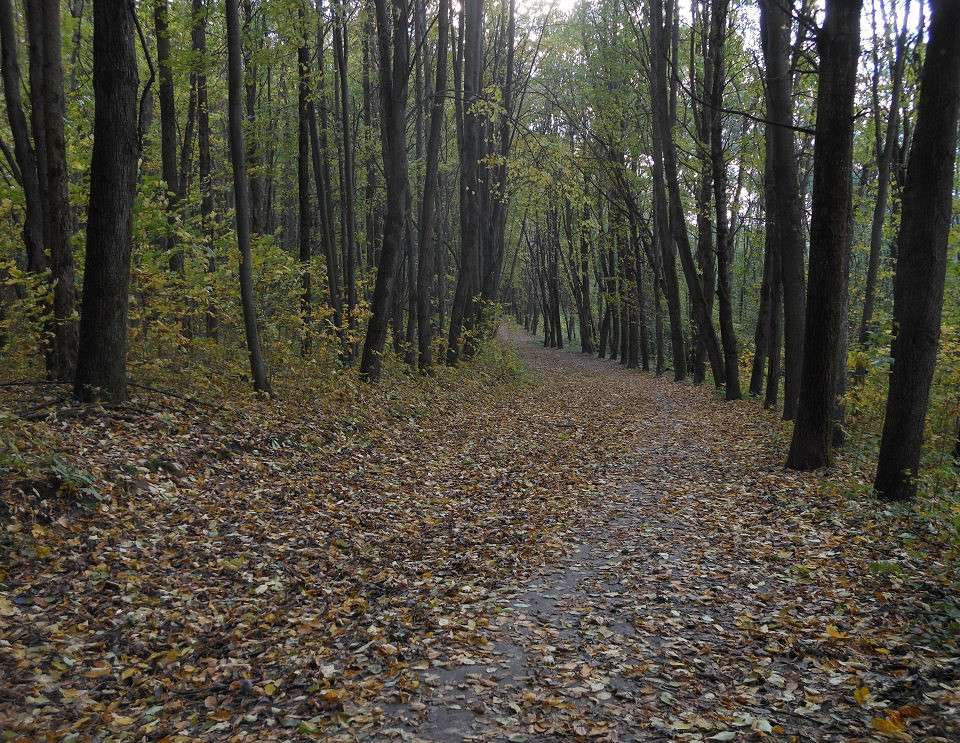 ������ �����...8 ����� ����� ������� �� PhotoGeek.ru #������ ��� ������� #����� �������������� #��������� #����� ��������