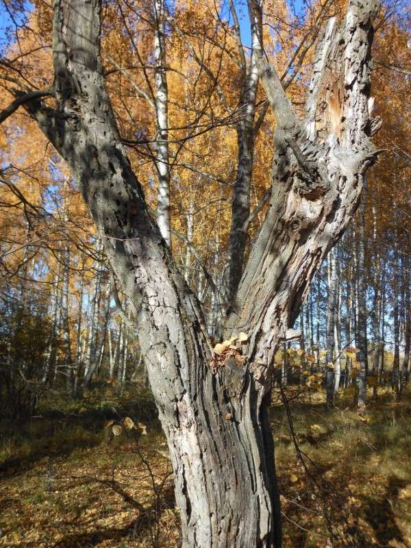 ������ �����...11 ����� ����� ������� �� PhotoGeek.ru #������ ��� ������� #������ #����� ��������