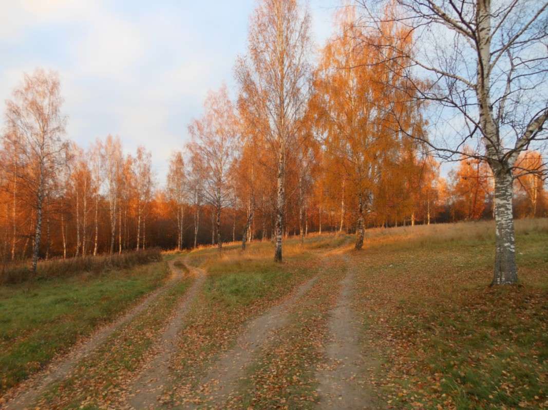 ��� ������, ��� ������... ����� ����� ������� �� PhotoGeek.ru #������ ��� ������� #����� ��������������