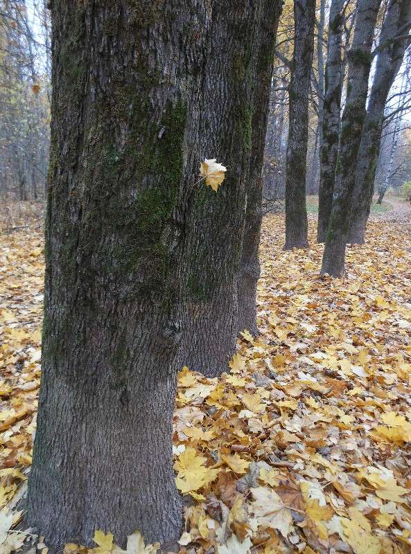 ������� ����� ����� ������� �� PhotoGeek.ru #������ ��� ������� #����� ��������������