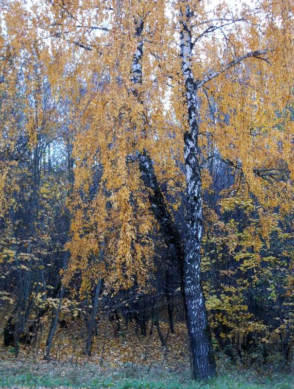 ����� ����� ����� ����� ������� �� PhotoGeek.ru #������ ��� ������� #����� �������������� #��������� #����� ��������