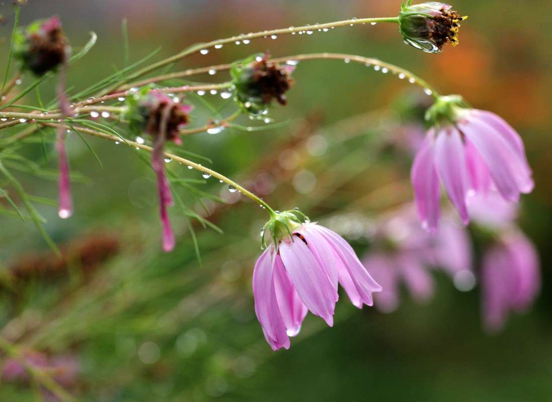 ��������� ����� ����� ����� ������� �� PhotoGeek.ru #������ ��� ������� #����� �������������� #���������