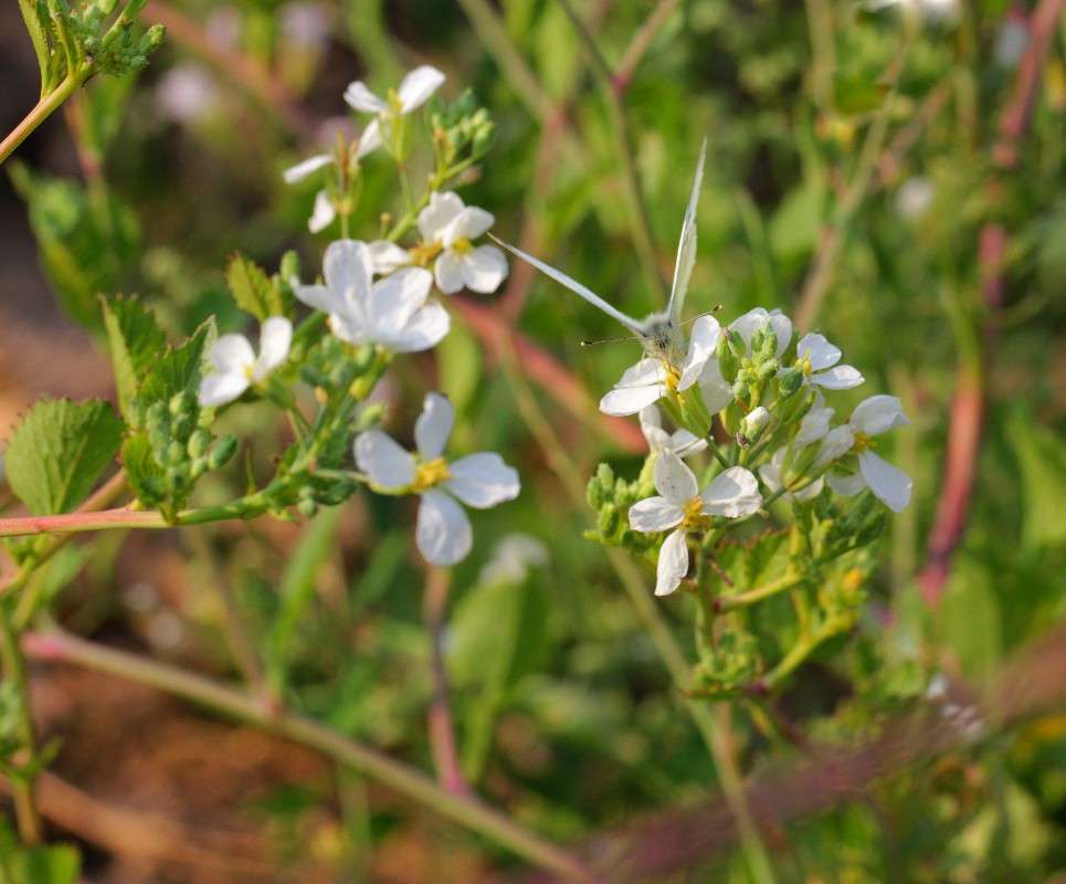 ���������� ����� ����� ������� �� PhotoGeek.ru #������ ��� ������� #����� �������������� #��������� #������