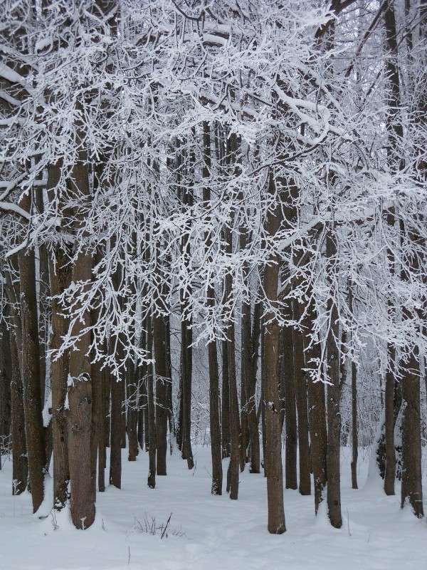 ���� 7 ����� ����� ������� �� PhotoGeek.ru #������ ��� ������� #����� ��������������