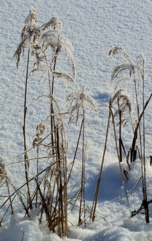 ���� 9 ����� ����� ������� �� PhotoGeek.ru #������ ��� ������� #���������