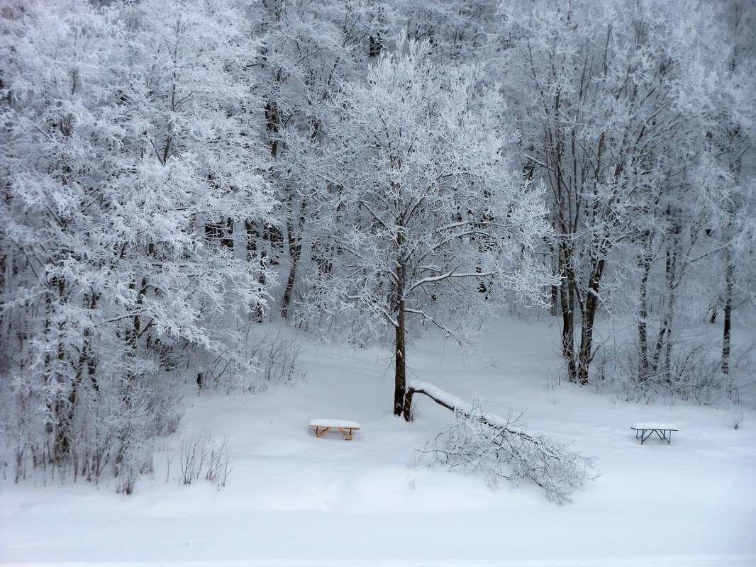 ̸����� ����� - 2 ����� ����� ������� �� PhotoGeek.ru #������ ��� ������� #������