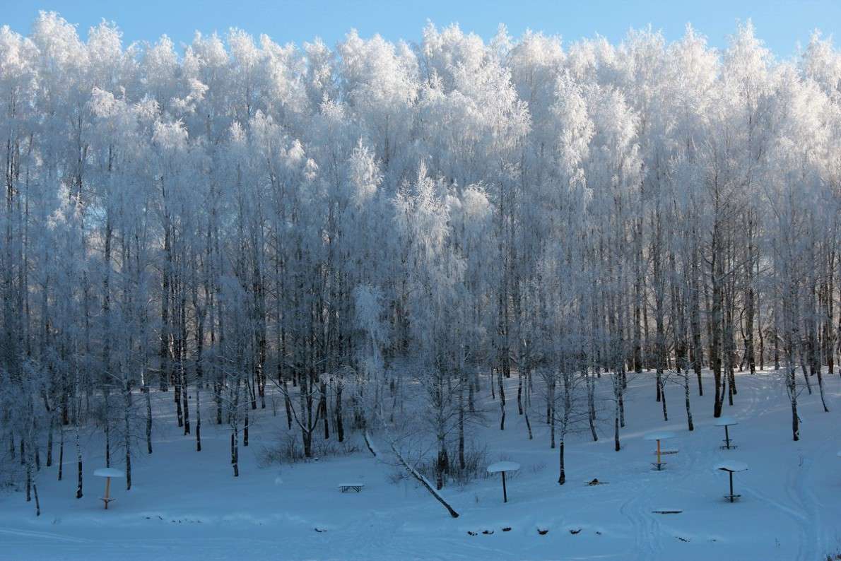 ̸����� ����� -3 ����� ����� ������� �� PhotoGeek.ru #������ ��� ������� #����� ��������������