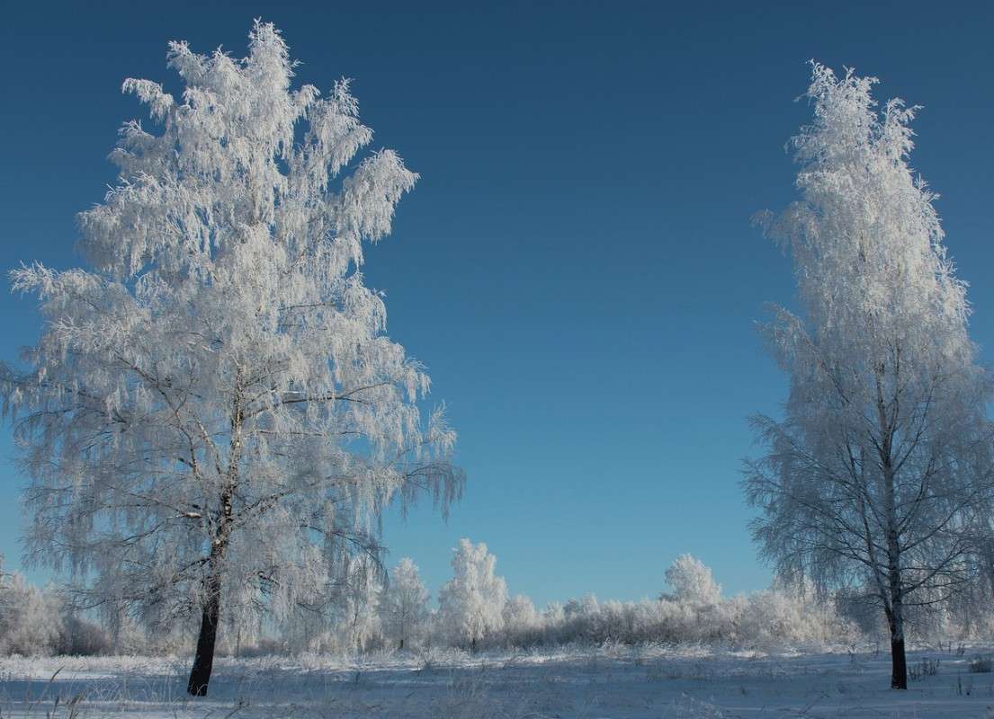 ����������� ������� ���� 1 ����� ����� ������� �� PhotoGeek.ru #������ ��� ������� #����� ��������������