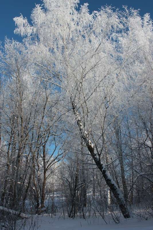 ����������� ������� ���� 2 ����� ����� ������� �� PhotoGeek.ru #������ ��� ������� #����� ��������������