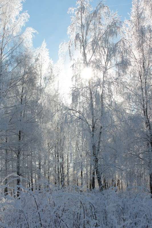 ����������� ������� ���� 4 ����� ����� ������� �� PhotoGeek.ru #������ ��� ������� #����� ��������������