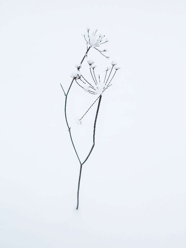 ����*2 ����� ����� ������� �� PhotoGeek.ru #������ ��� ������� #������